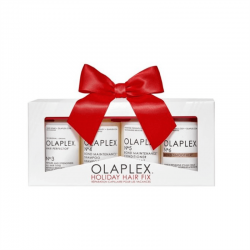 Olaplex Pack Holiday Hair Fix